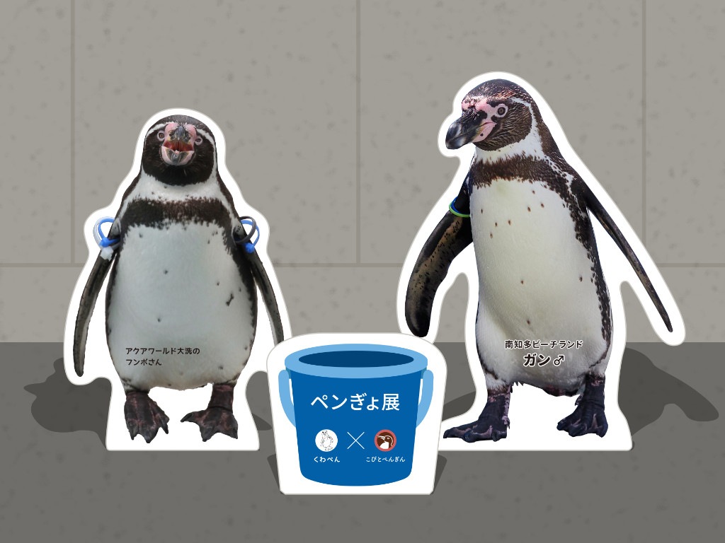 ペンぎょ展に出展中！】こびとぺんぎん×くわぺんコラボ企画